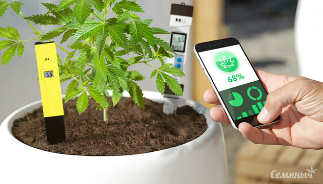 Незаменимые приспособления для гровера