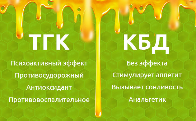Свойства меда с ТГК и КБД Сравнение эффектов ТГК и КБД