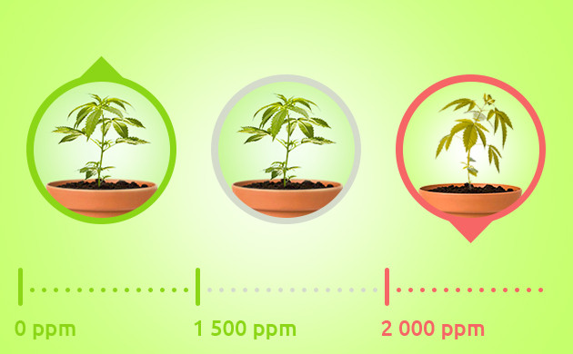 Мера концентрации углекислого газа Переизбыток CO₂ при 2000 ppm