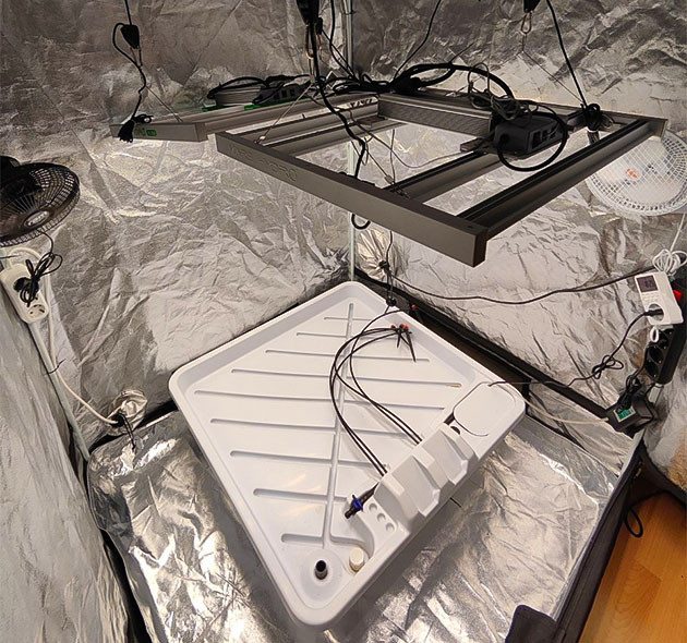 Проращивание семян конопли Dozy Doz Проращивание Dozy Doz