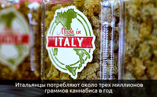 Сколько итальянцы потребляют каннабиса