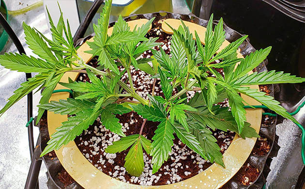 Установка системы автополива