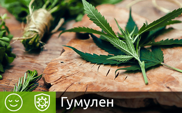 Терпен гумулен