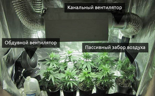 Внутренняя циркуляция в гроубоксе