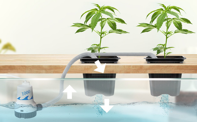 Капельный метод гидропоники Система капельного полива корневой системы