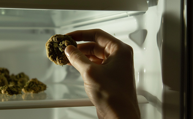 Температурный контроль: ключ к долгосрочному хранению канна-еды