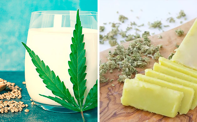 Масло и молоко с каннабисом