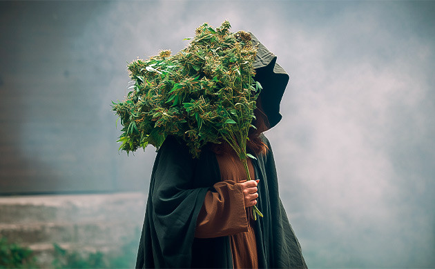 Использование конопли в религиозных и оккультных обрядах История использования каннабиса в колдовстве