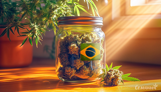 Историческое решение: декриминализация хранения в Бразилии