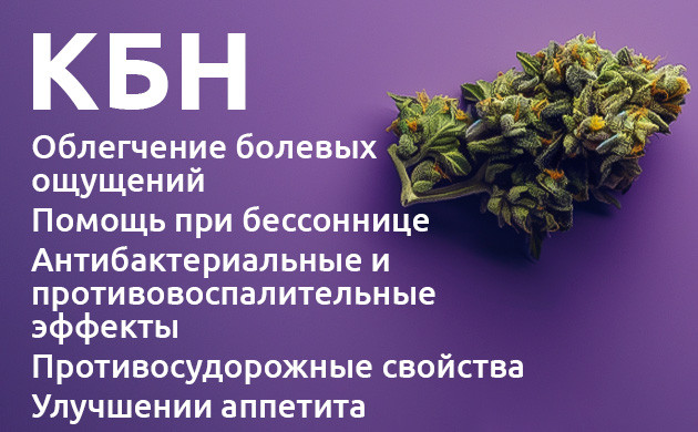 Будущее каннабинола в медицине