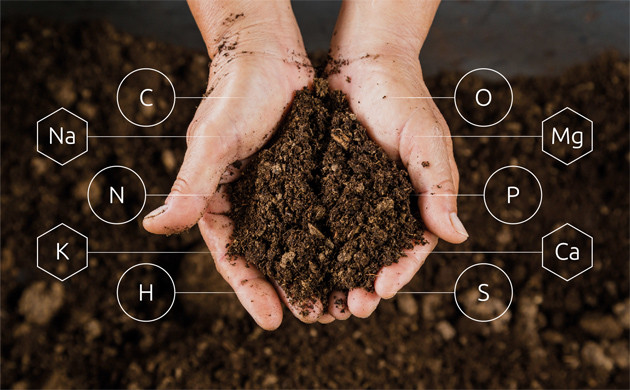 Состав почвы