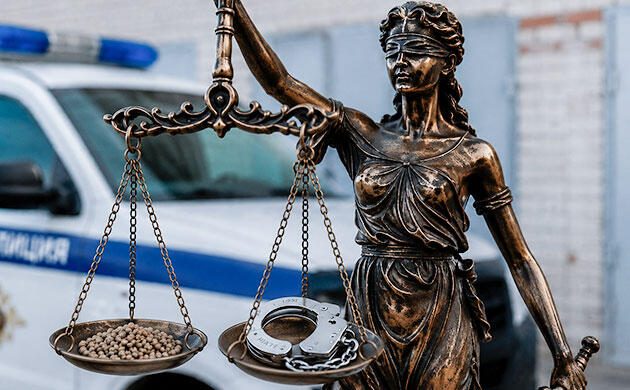 Что разрешено и запрещено по закону РФ Где проходит граница ответственности за семена конопли