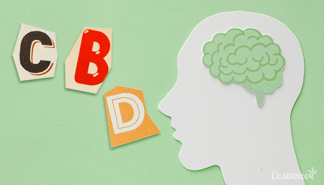 Всемирный день психического здоровья с медицинскими сортами