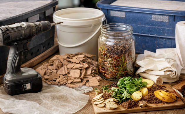 Домашняя вермиферма