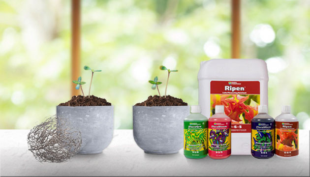 Неправильная подкормка удобрениями Перекорм или избыток удобрений