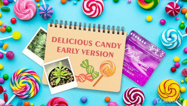 Гроурепорт сорта Delicious Candy Early Version от Delicious Seeds