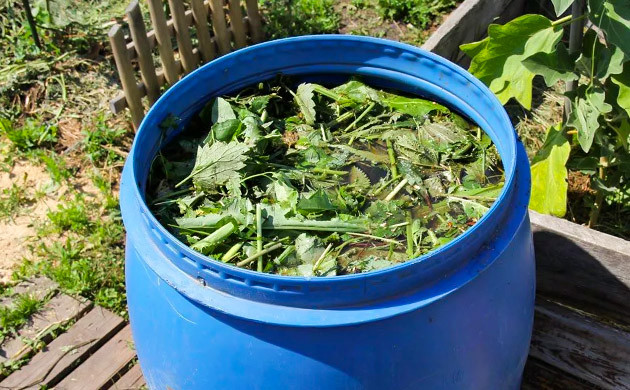 Приготовление компоста Стебли каннабиса в бочке с водой