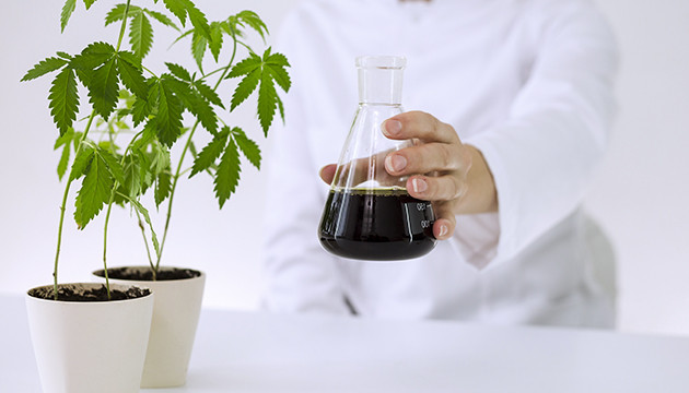 Техники выращивания