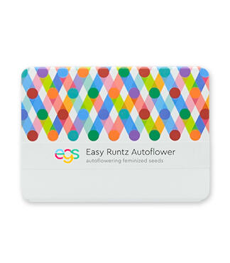 Easy Runtz Autoflower fem (Easy Grow Seeds)