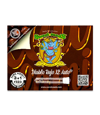 Diablo Rojo XL Auto fem (Sweet Seeds)