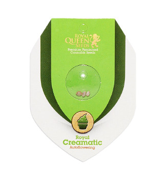 Royal Creamatic Auto fem (RQS)