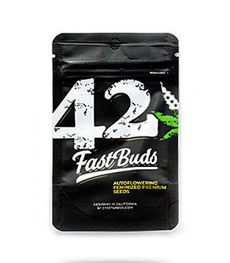 Crystal METH Auto fem (FastBuds)