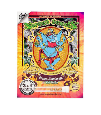 Cream Mandarine F1 Fast Version fem (Sweet Seeds)