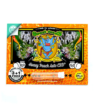 Honey Peach Auto CBD fem (Sweet Seeds)