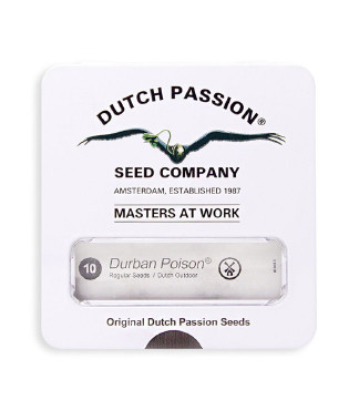 Durban Poison regular (Dutch Passion)