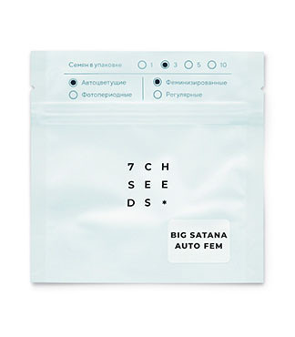 Big Satana Auto fem (Семяныч)