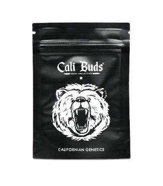 DO-SI-DOS fem (Cali Buds Seeds)