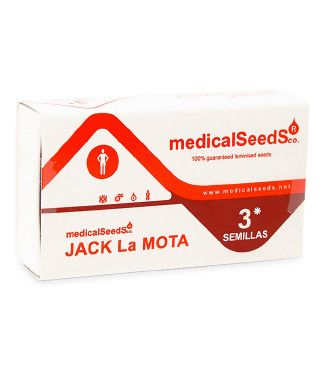 Jack La Mota fem (Medical Seeds)