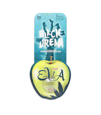 Black Dream fem (Eva Seeds)