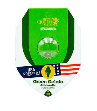 Green Gelato Automatic fem (RQS)