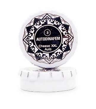 Cheese XXL Autoflowering fem (Dinafem Seeds)