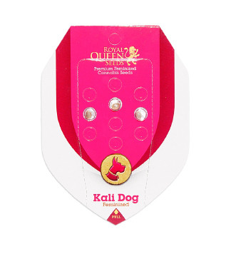 Kali Dog fem (RQS)
