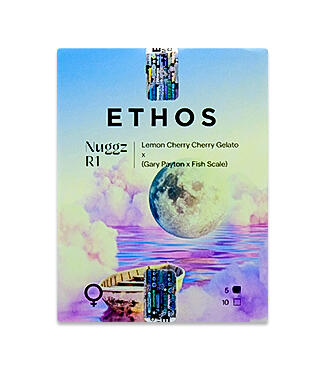 Nuggz R1 fem (Ethos Genetics)