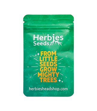 Godzilla Original Glue GG#4 (Godzilla Glue #4) fem (Herbies Seeds)