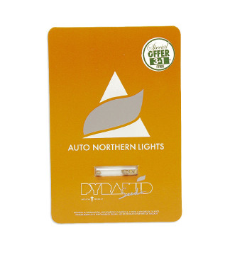Auto Northern Lights fem (Pyramid Seeds)
