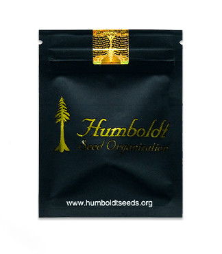 Blueberry Headband fem (Humboldt Seed Organization)