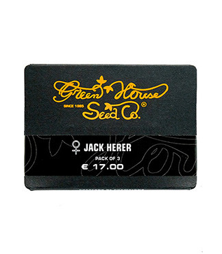 Jack Herer fem (GHS)