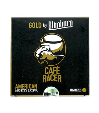 Cafe Racer fem (Blimburn Seeds)