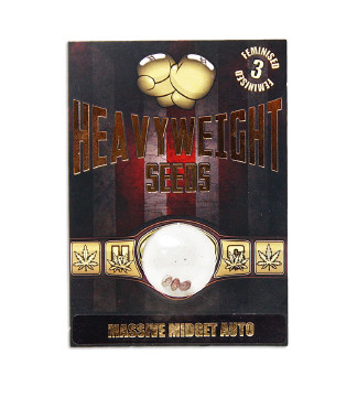 Massive Midget Auto fem (Heavyweight Seeds)