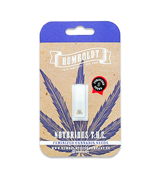 Notorious THC fem (Humboldt Seed Company)