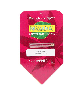 White Widow fem (Nirvana Seeds)