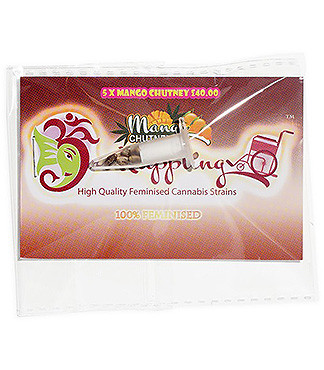 Mango Chutney fem (Dr. Krippling Seeds)