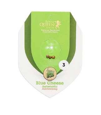 Blue Cheese Automatic fem (RQS)