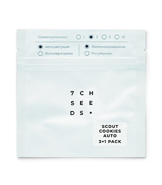 Scout Cookies Auto fem (Семяныч)