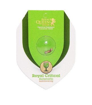 Royal Critical Automatic fem (RQS)