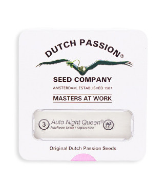 Auto Night Queen fem (Dutch Passion)